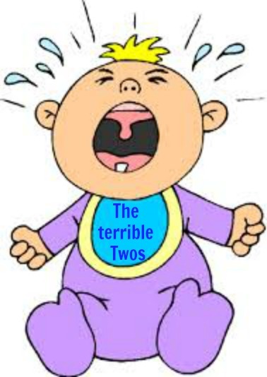the-terrible-twos